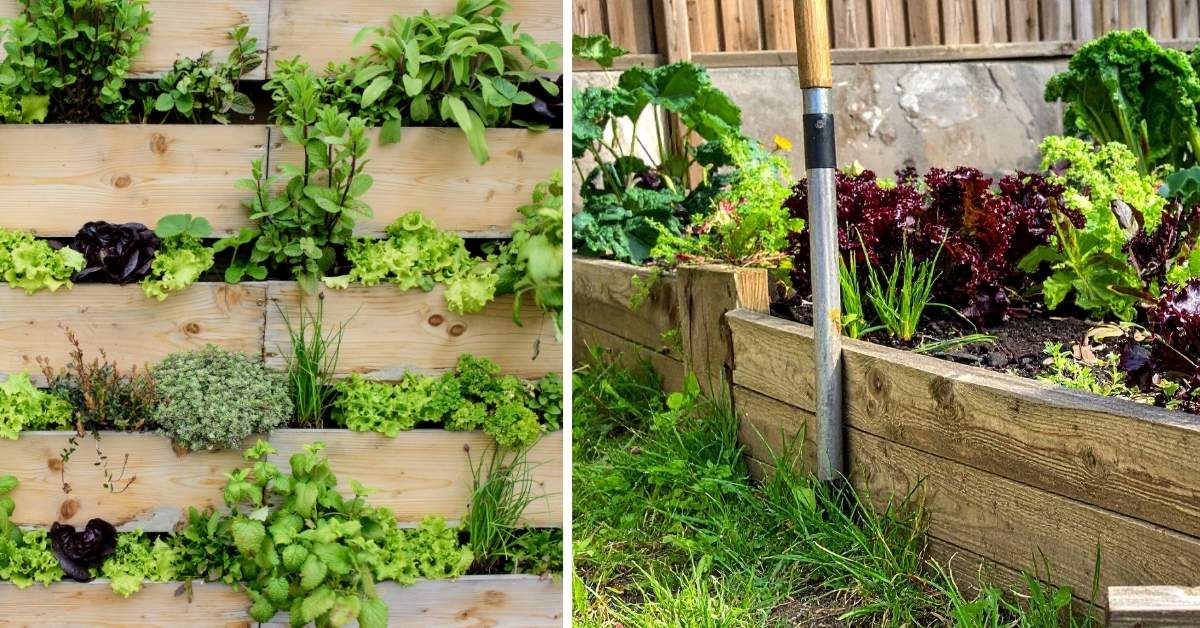 Kolaz_dwoch_zdjec_z_ogrodkami_warzywnymi_na_roznych_poziomach
