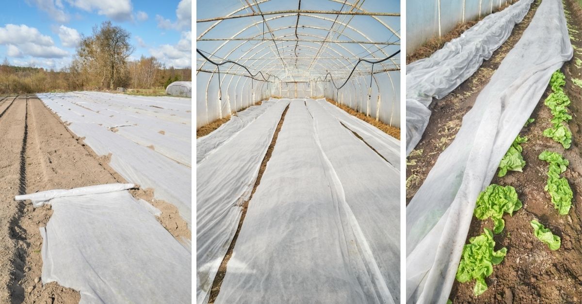  Rolki_bialej_agrowlokniny_rozciagniete_na_plantacjach_-_kolaz_3_zdjec