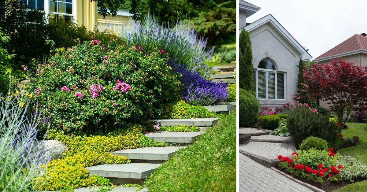  Rozlegly_klomb_przy_schodach__wejscie_do_domu_w_kwiatach