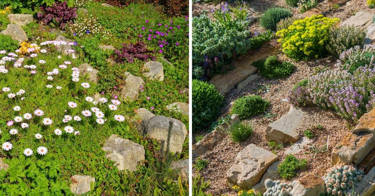 Skarpa_w_ogrodzie_-_kolaz_dwoch_zdjec_skarp_obrosnietych_kwiatami__bylinami_z_kamieniami