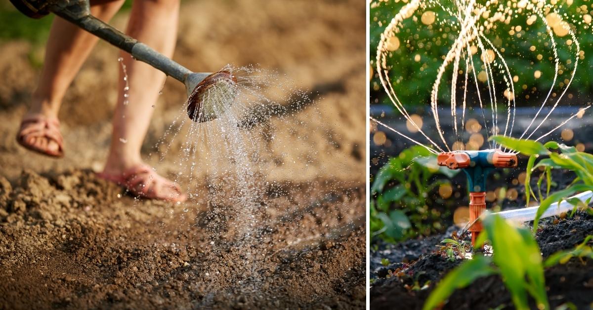  Podlewanie_ziemi_konewka__zraszaczem_obrotowym