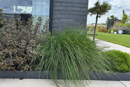 Obrzeże Palisada RATTAN 80 cm antracyt (athracite)