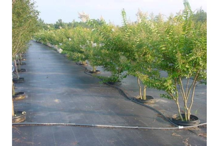 Agrotkanina 100g 1,6x10m POLSKI PRODUCENT