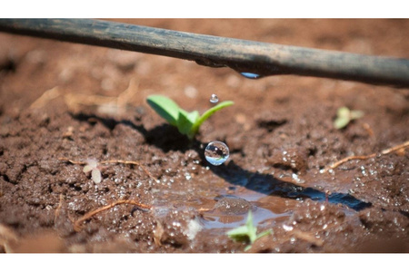Trójnik do linii kroplującej 16 mm - 10 szt.