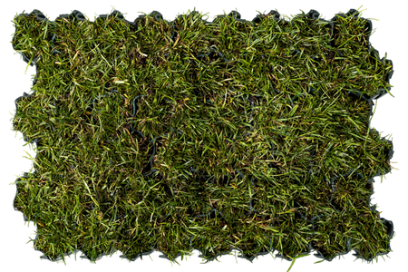 Kratka trawnikowa INOVGREEN IP40 58x39x4 cm zielona