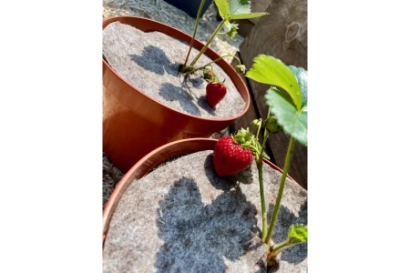 Dysk ochronny z owczej wełny 21 cm - 2 szt.