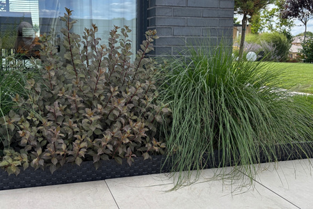 Palisada RATTAN 80 cm czarny (black)