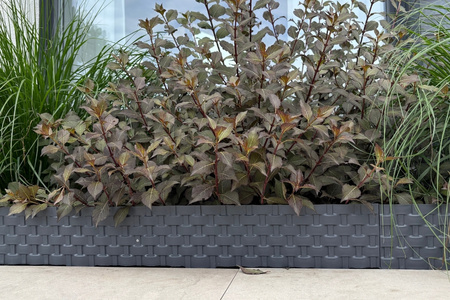Obrzeże Palisada RATTAN 80 cm antracyt (athracite)