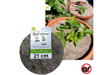 Dysk ochronny z owczej wełny 21 cm - 2 szt.