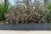 Obrzeże Palisada RATTAN 80 cm antracyt (athracite)