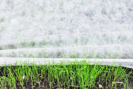 Agrowłóknina 50g 3,2x100m biała okryciowa UV